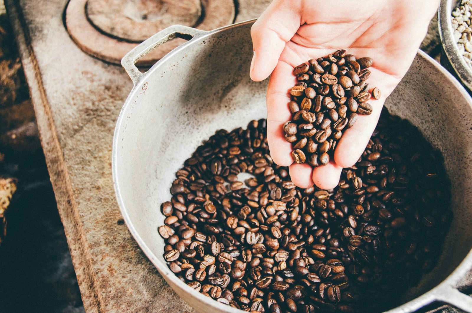 حبوب قهوة طازجة في صينية التبريد بعد التحميص